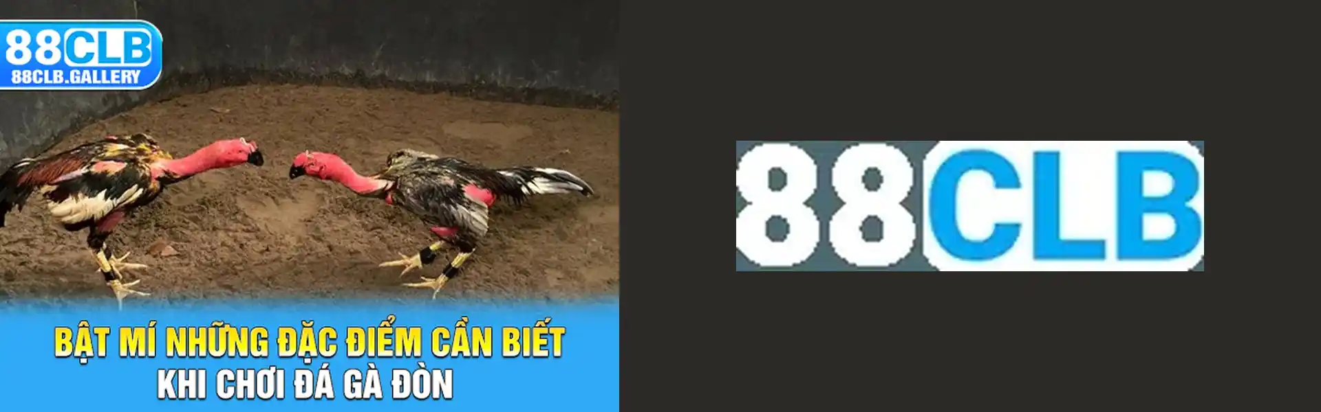 888SLOT